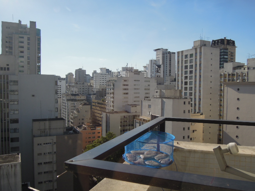 DSCN8717.jpg