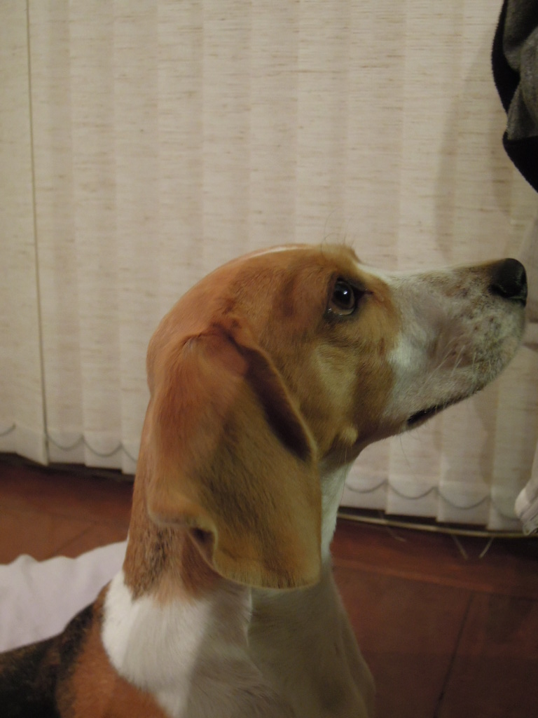 DSCN8736.jpg