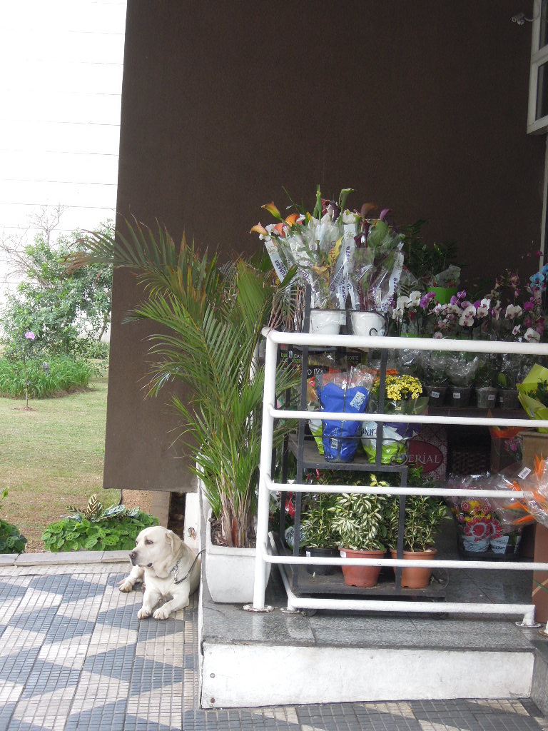 DSCN8741.jpg