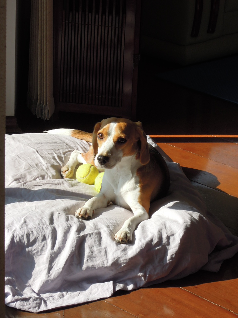 DSCN8748.jpg