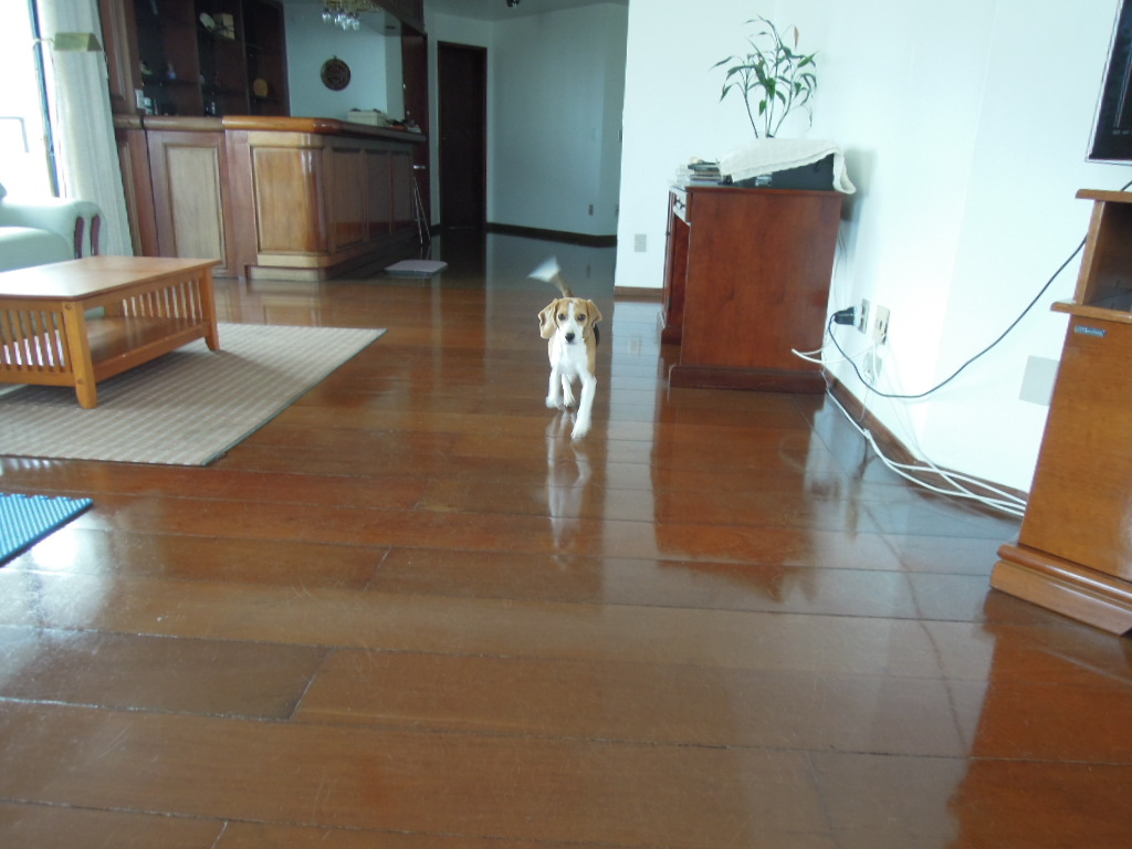 DSCN8749.jpg