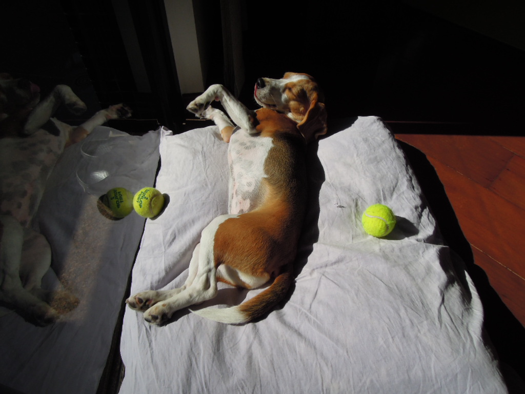 DSCN8798.jpg