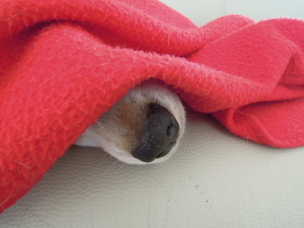 DSCN8816.jpg