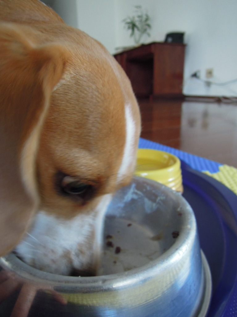 DSCN8825.jpg