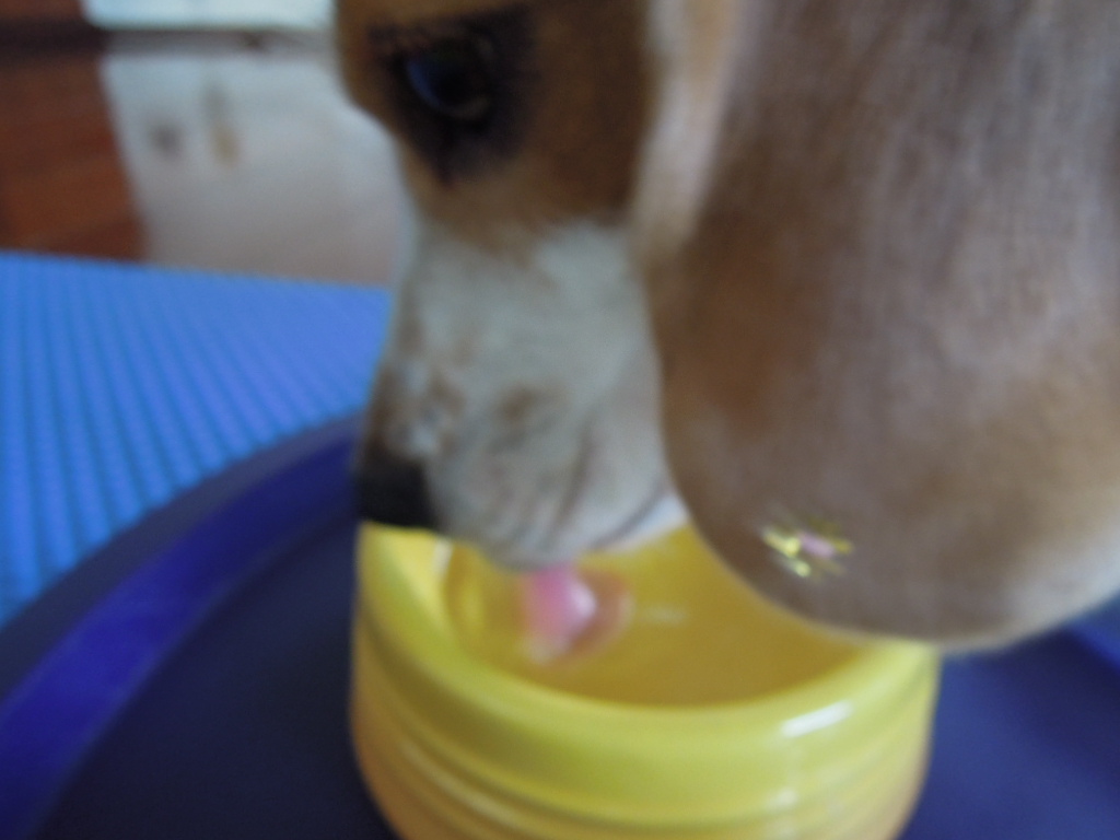 DSCN8831.jpg