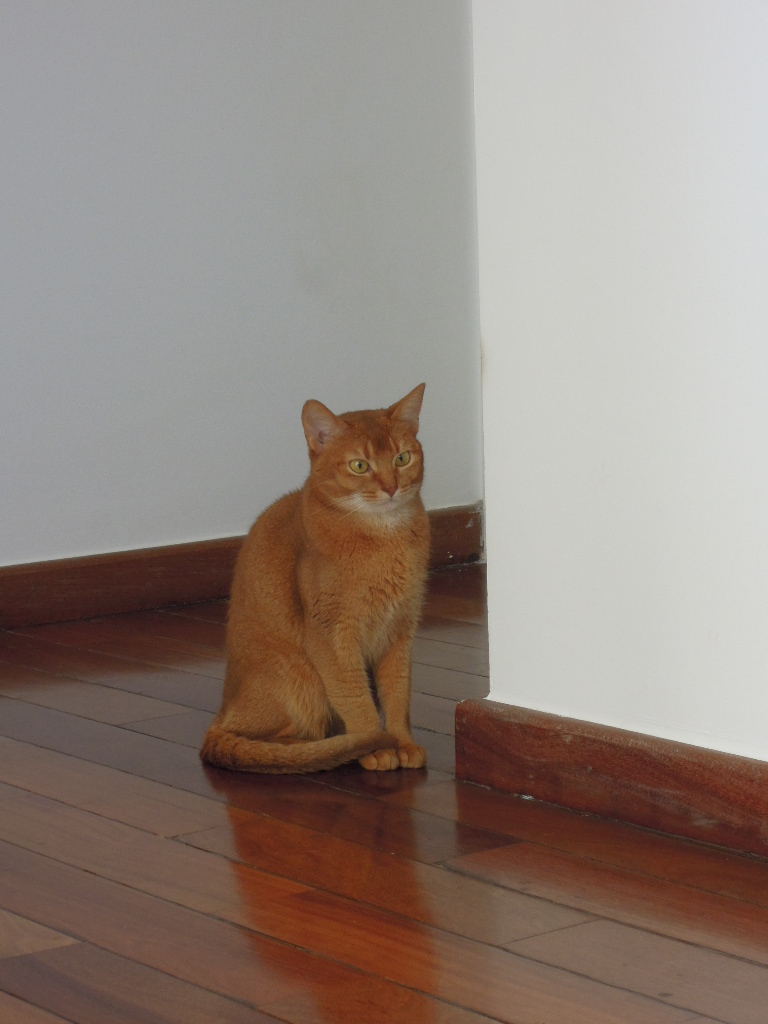 DSCN8955.jpg