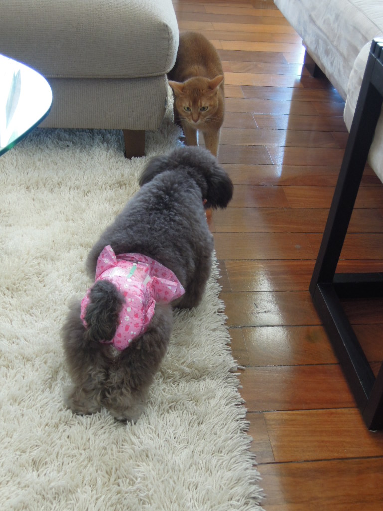 DSCN8960.jpg