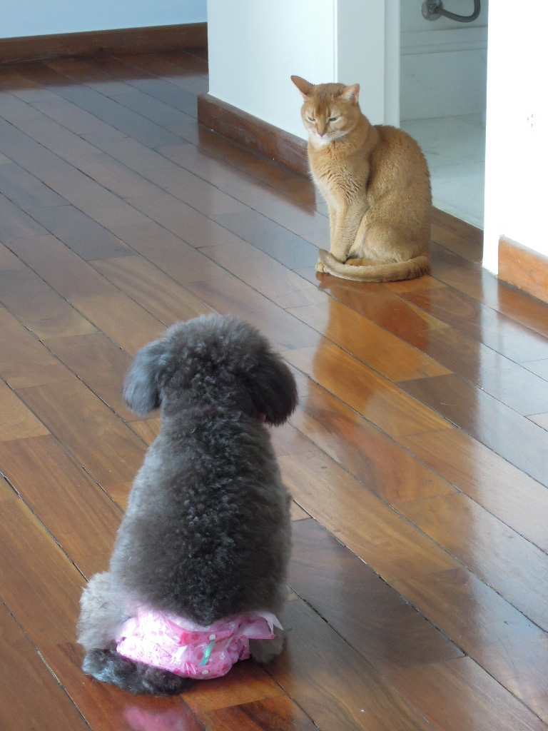DSCN8968.jpg