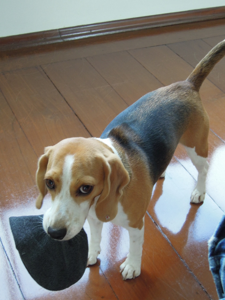 DSCN9198.jpg