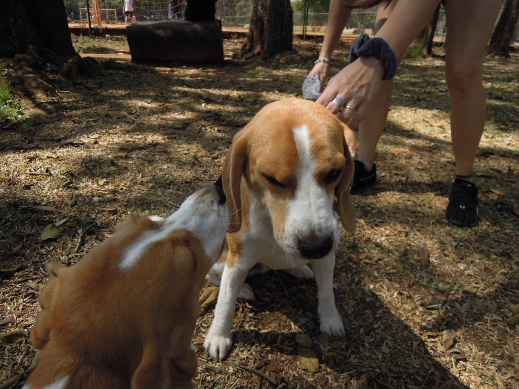 DSCN9360.jpg
