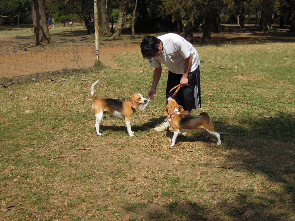 DSCN9366.jpg