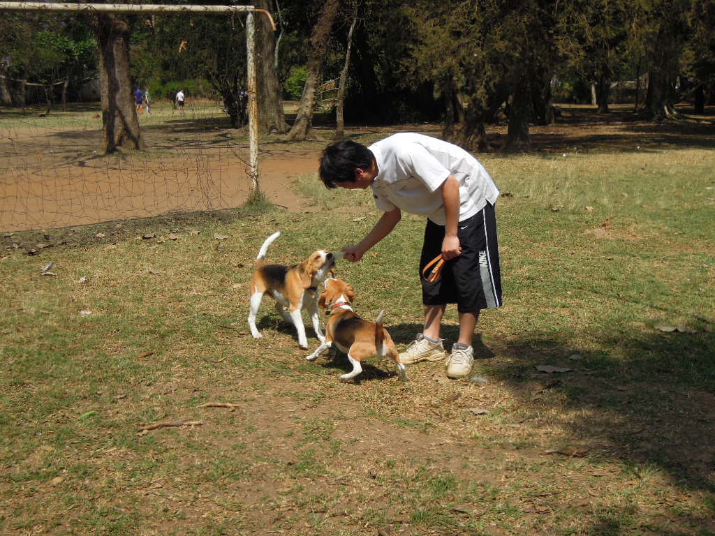 DSCN9367.jpg