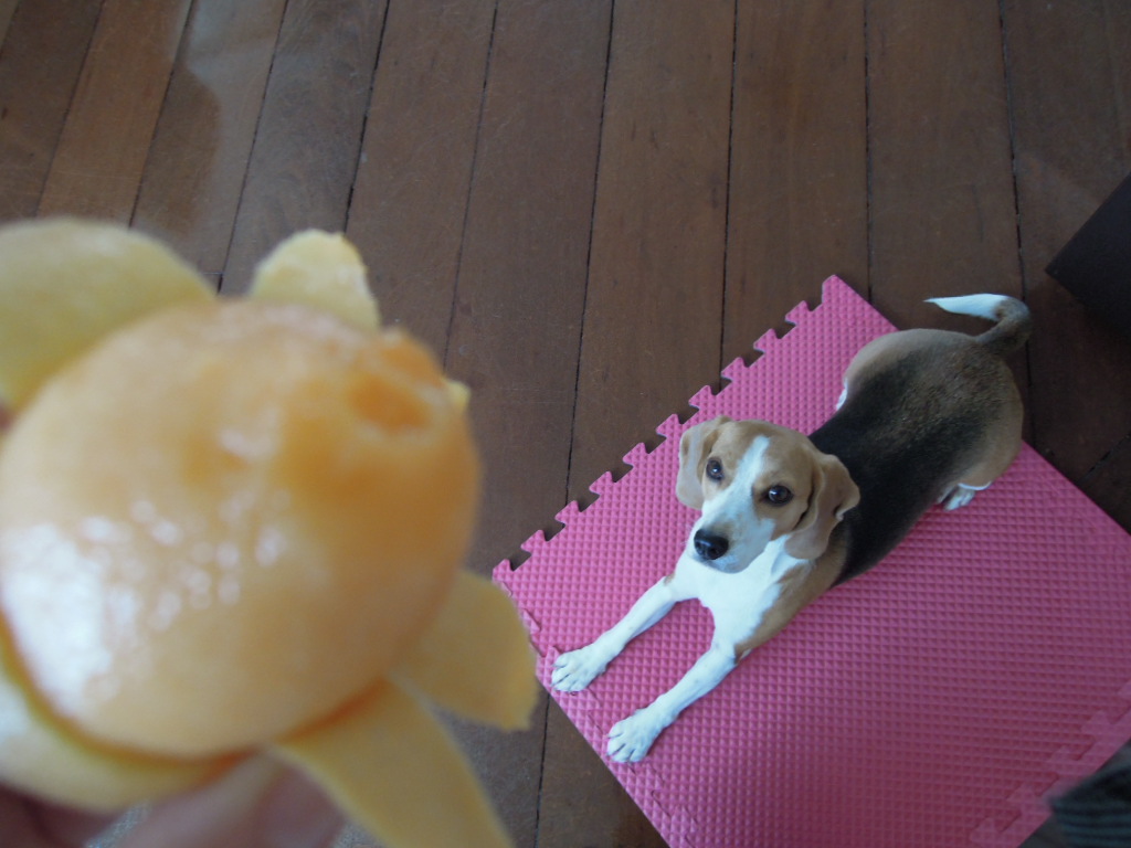 DSCN9453.jpg