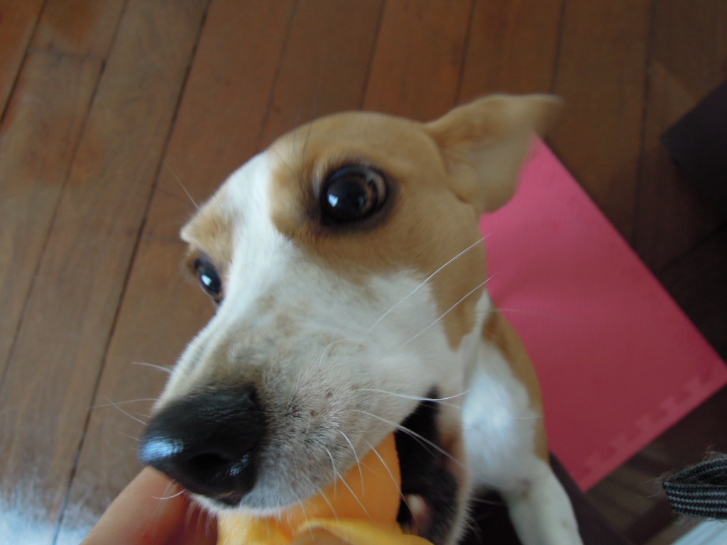 DSCN9454.jpg
