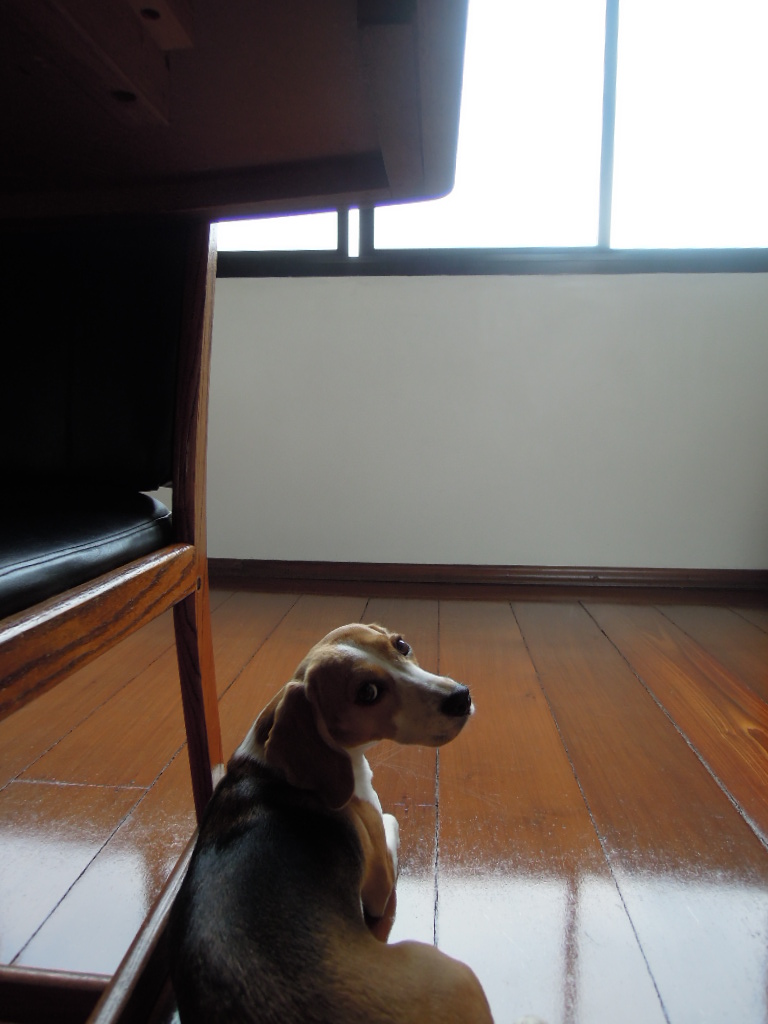 DSCN9509.jpg