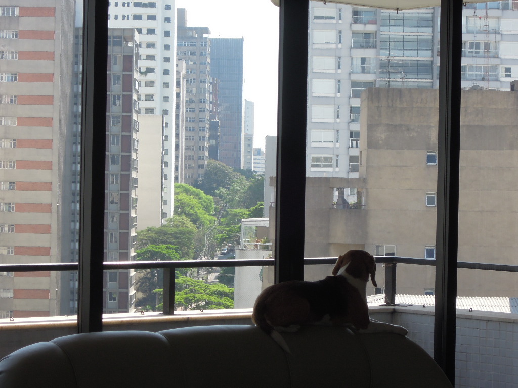 DSCN9537.jpg