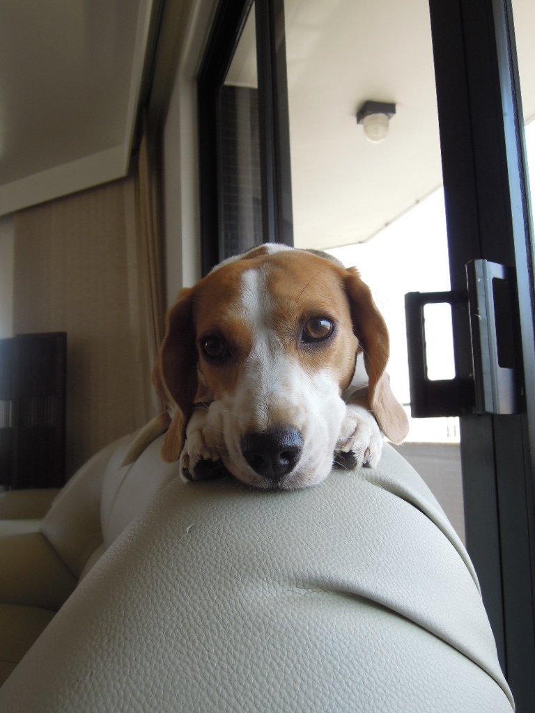 DSCN9541.jpg