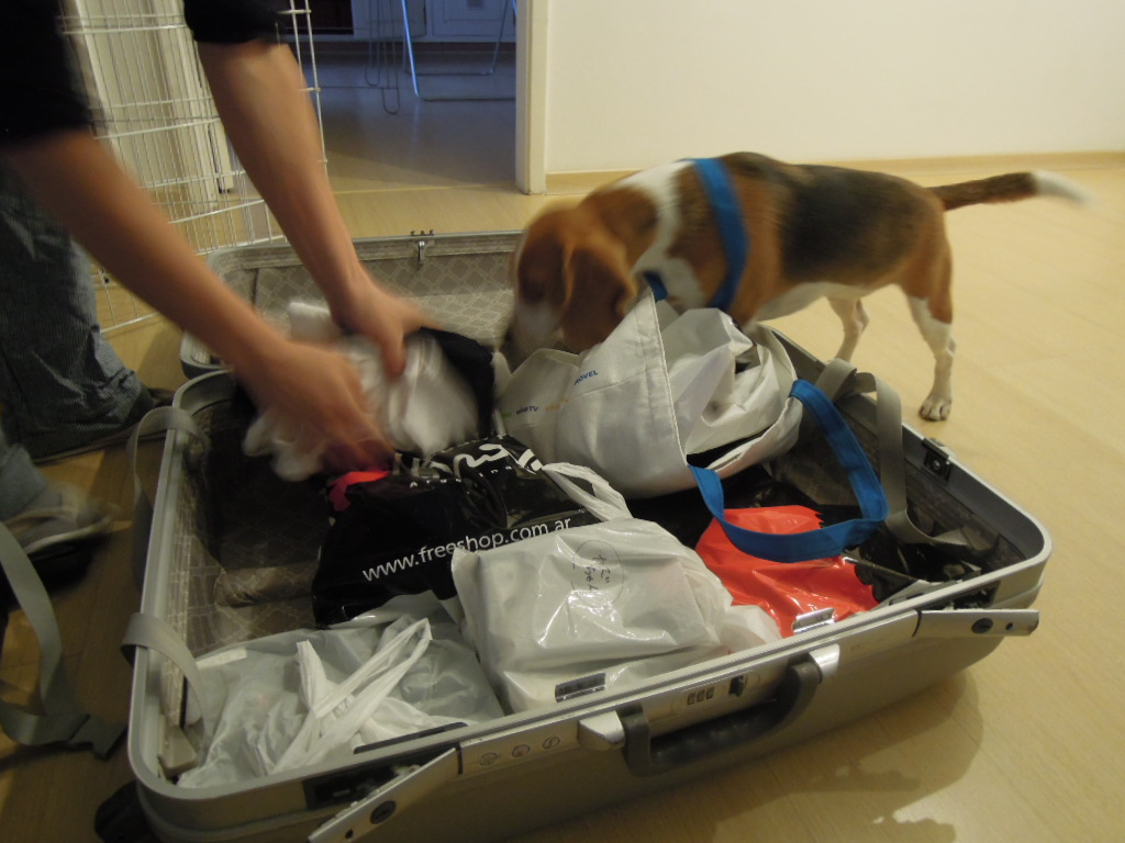 DSCN9569.jpg