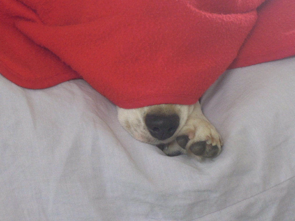 DSCN9614.jpg