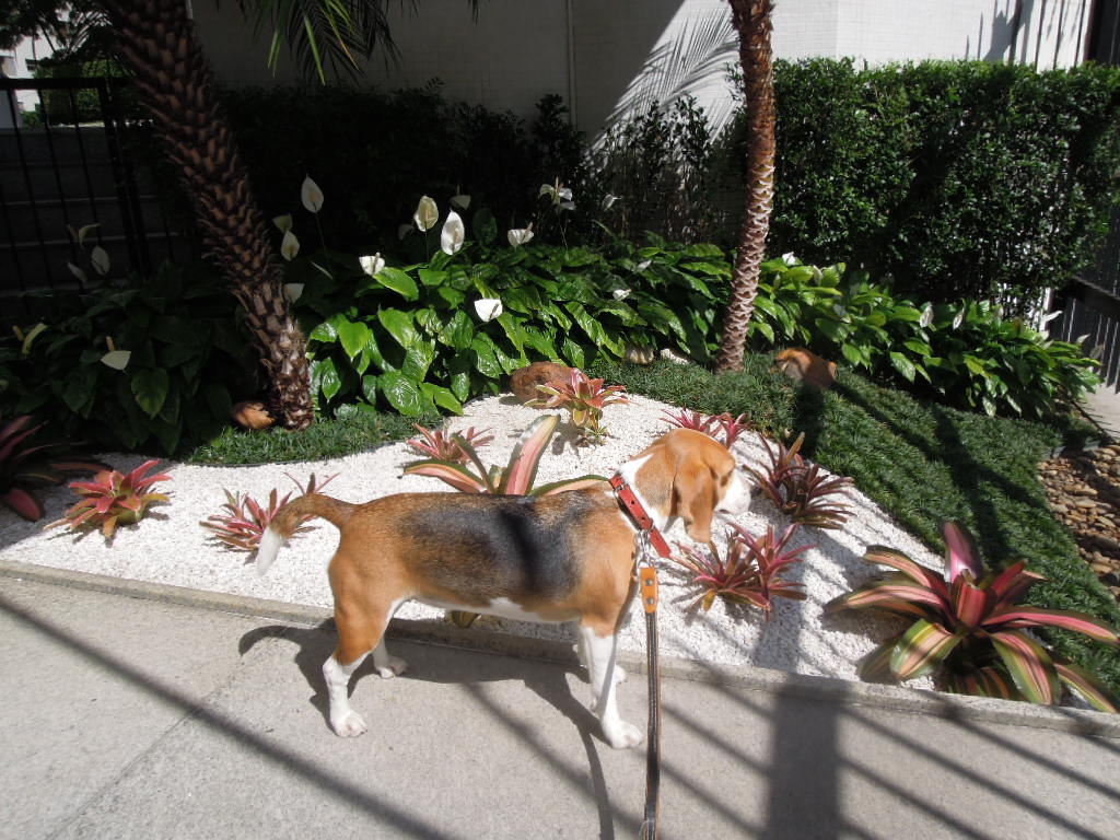 DSCN9628.jpg
