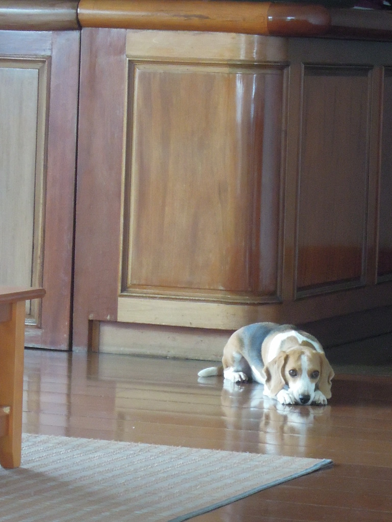 DSCN9671.jpg