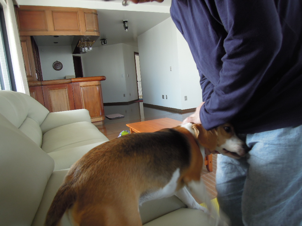 DSCN9682.jpg