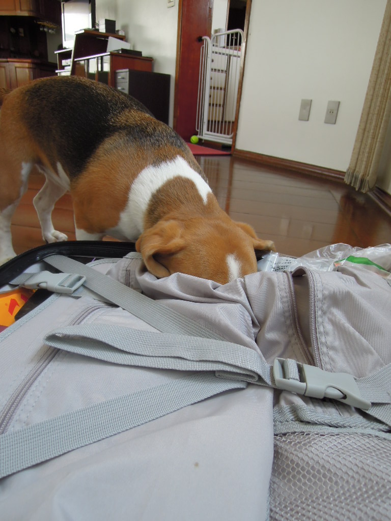 DSCN9694.jpg