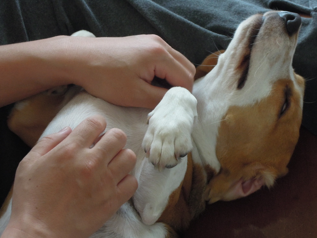 DSCN9705.jpg