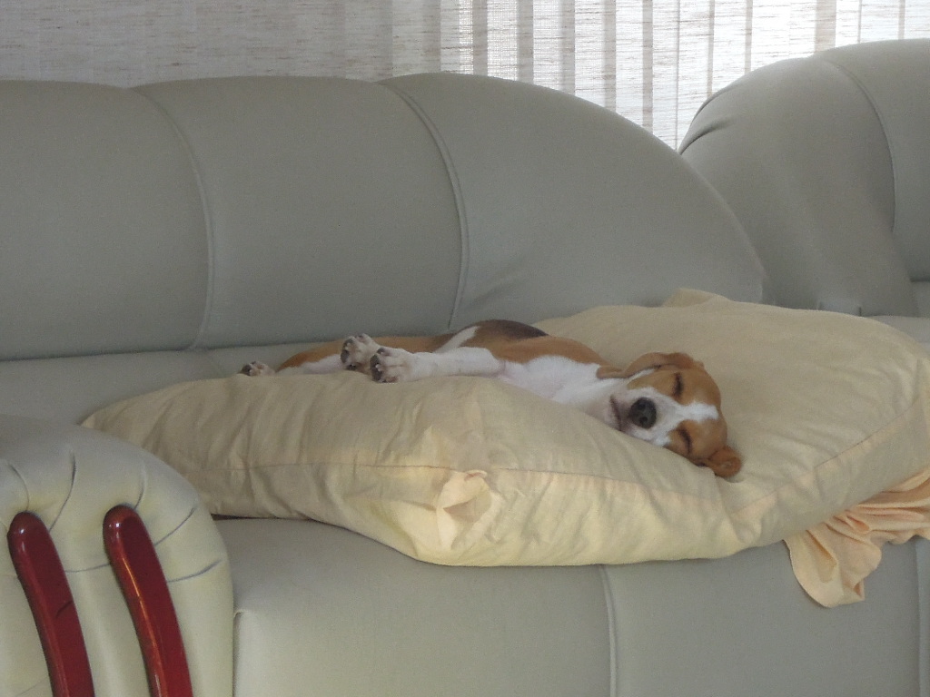 DSCN9742.jpg