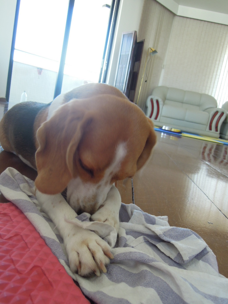 DSCN9746.jpg