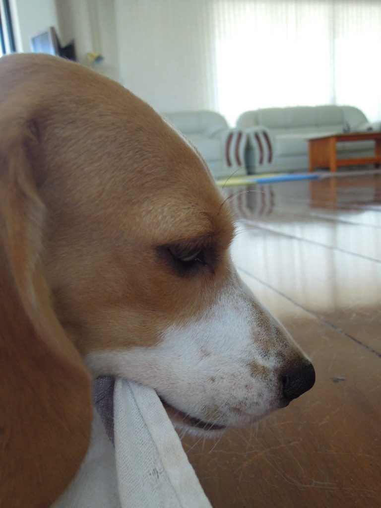 DSCN9754.jpg
