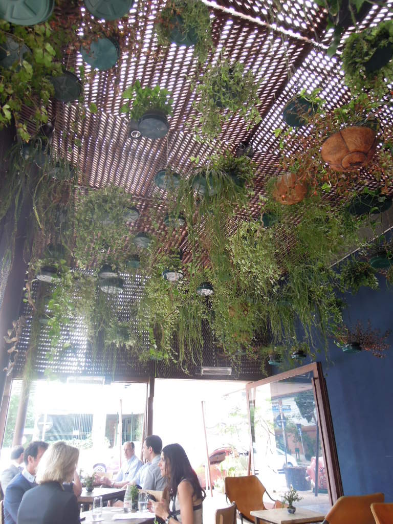 DSCN9808.jpg