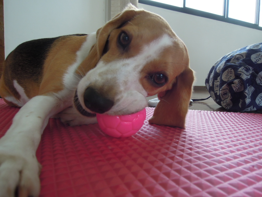 DSCN9860.jpg