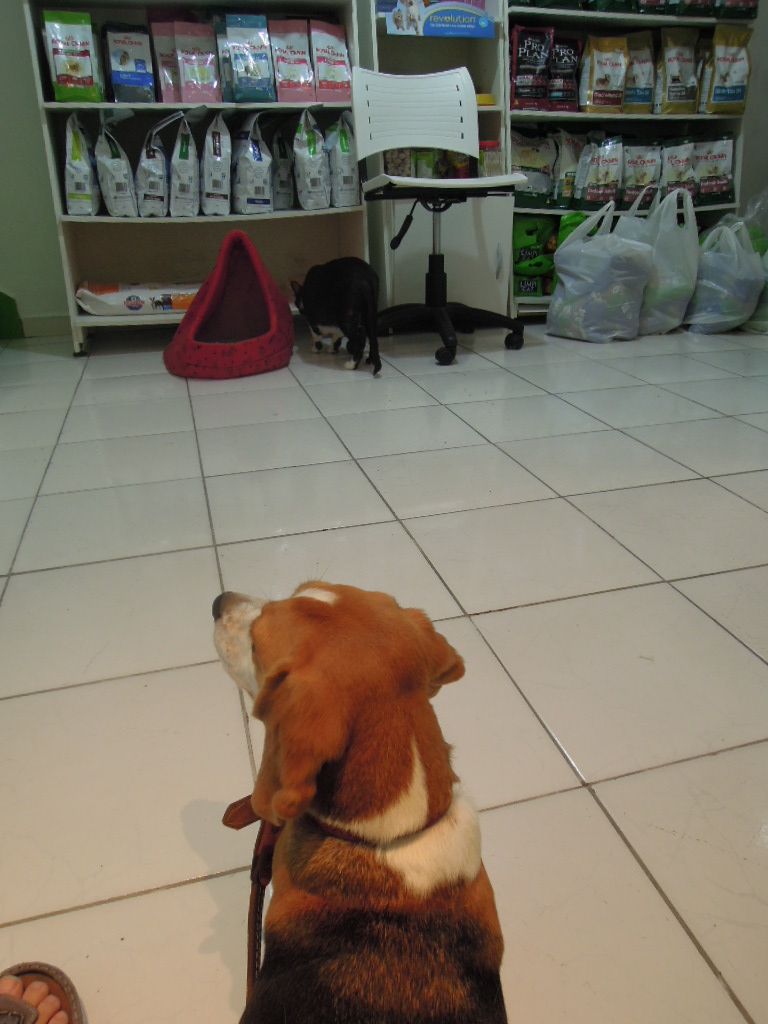 DSCN9874.jpg