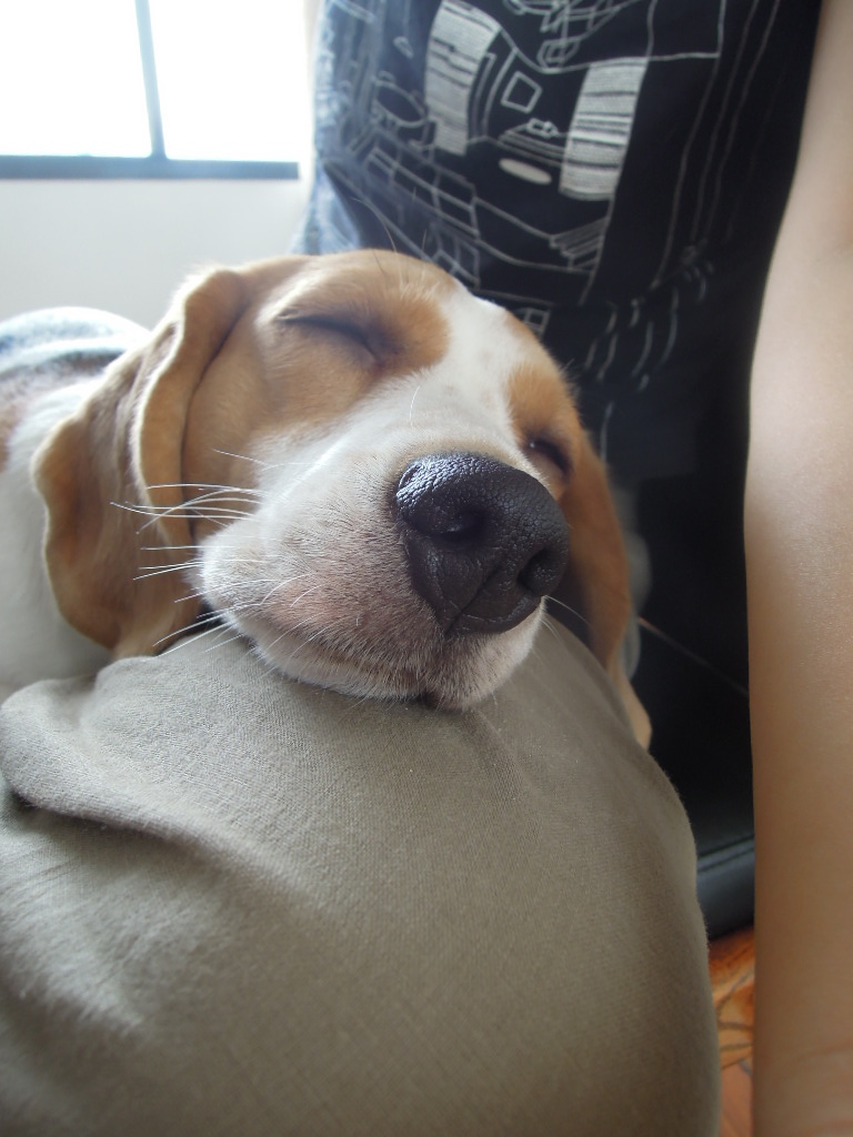 DSCN9893.jpg