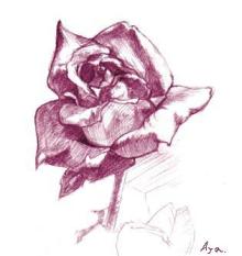 JACKPOT DAYS!! -poetrical rock n'roll and beat gallery--薔薇.jpg