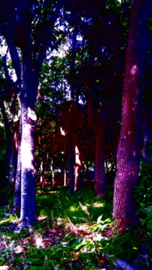 JACKPOT DAYS!! -poetrical rock n'roll and beat gallery--110630_145038.jpg