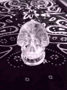 JACKPOT DAYS!! -poetrical rock n'roll and beat gallery--111230_192238.jpg