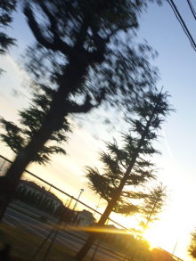 〝JACKPOT DAYS〟-111204_162810.jpg