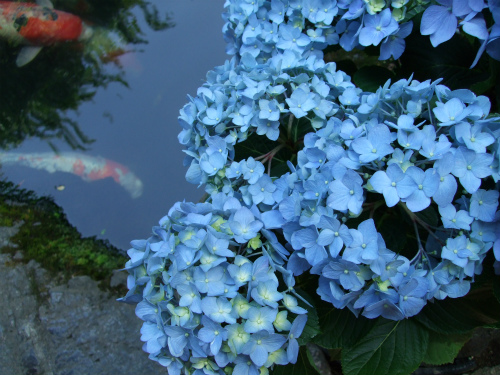 2011061001.jpg
