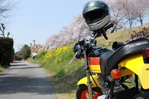 baikuharu3.jpg