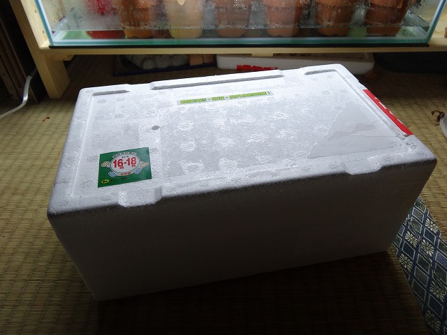 DSC03007.jpg