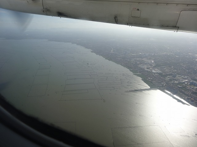 DSC03137.jpg