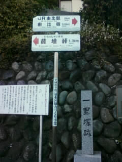 画像-0335