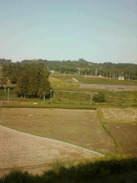 画像-0364