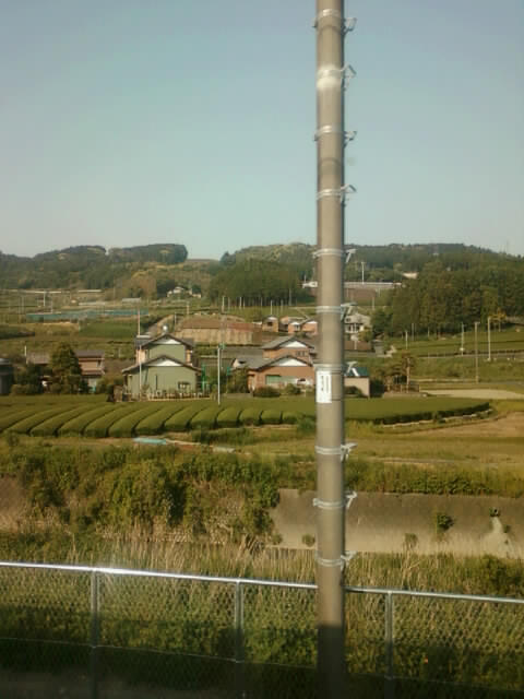 画像-0365