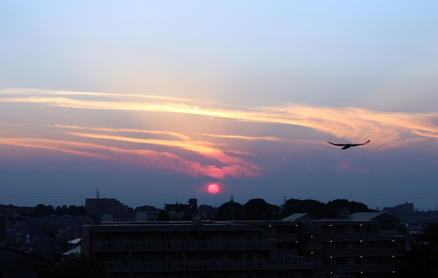 IMG_2976.jpg