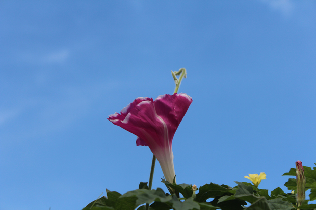 IMG_6304.jpg