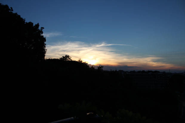 IMG_9391.jpg
