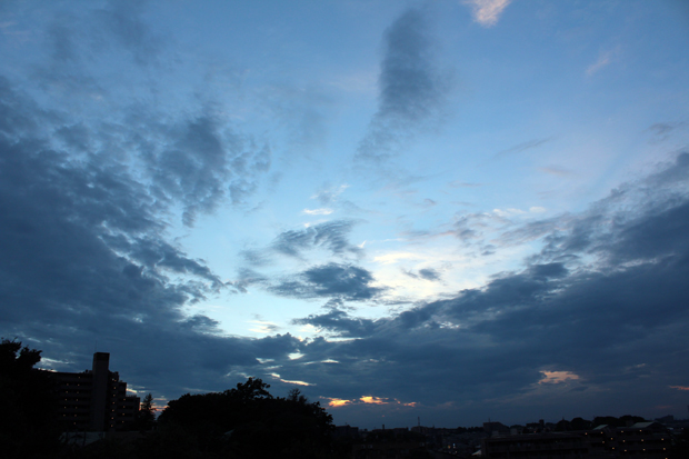 IMG_9600.jpg